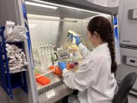 Summer projects introduce undergrads to research, Columbus campus
