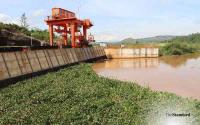 How water hyacinth has paralysed fishing and tourism in Lake Naivasha