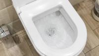 Best American Standard toilet