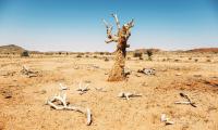 Namibia to be represented at UNCCD COP 17 in Mongolia