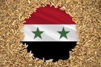 Syrian wheat harvest reaches self-sufficiency