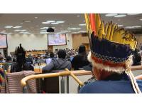 New Report: Despite Improved Recognition of Indigenous Peoples, Fragmented Rio Conventions Limit Indigenous Influence