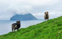 The tiny island in the wild North Atlantic that ‘feels like the safest place in the world’