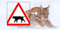 France tests road signs to protect endangered lynx