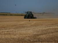 Punishing European drought shrivels crops from Dutch potatoes to Bosnian corn