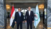 Fidan meets Arab League chief, Egypt intel head in el-Alamein