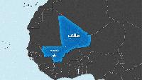 Mali grants presidential pardon to jailed French official: Govt