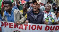 The Tribal Mind: Understanding South Africa’s Xenophobic Violence Through Developmental Psychology