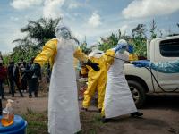 Ebola outbreak caused by new ‘animal transmission’: What that means