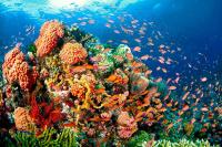 France provides 200-M euro blue-economy package