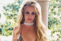 Britney Spears Claims Paparazzo Posed as Maid and Was 'Paid Big Time' To Spy on Her Home