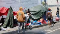 FBI Offers Cash Reward, Tip Line to Fight Animal Abuse on Los Angeles Skid Row