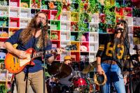 Entertainment this Week: Fleetwood Macrame, Terrapin Roadshow and more