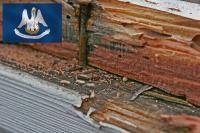 Louisiana Homeowners Warned About Termites