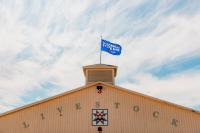 Governor’s Blue Ribbon Livestock Auction celebrates champions, raises $405,036 for Wisconsin youth