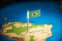 Brazilian pork exports up in volume, value down