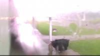 CPR, mouth-to-mouth performed on prisoners struck by lightning in Ohio
