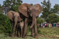 Montco Intermediate Unit to tighten travel policy after probe into leaders’ trips to Africa and Asia