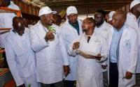 Kagwe assures Kenyans of food security despite drought