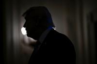 Congress Needs a Select Committee That Focuses on Trump Family Corruption