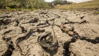 Three Ways Drought Alters Aquatic Disease
