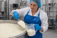 Milk House upgrades Serbian dairy processing capacity