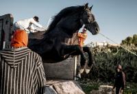 New York Film Festival Currents Lineup To Include World Premiere Of Tala Hadid’s ‘Bardi’