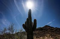 Netflix Heads To Arizona For Latest Reality Series