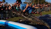 When did ‘Florida Man’ become a meme? When, how the trend started
