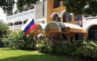 Russians in Tanzania to be able to vote in State Duma elections
