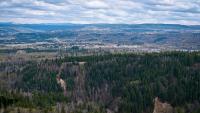B.C. Conservative Party worried Quesnel pulp mill curtailment could be permanent