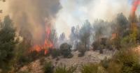 Only 18 convicted in 211 Albanian wildfire cases over five years