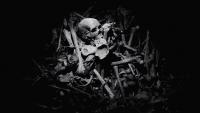 A prizewinning novel explores the legacy of the Rwandan genocide