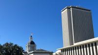 LAWSUIT CLAIMS FLORIDA SEX OFFENDER REGISTRY IS UNCONSTITUTIONAL
