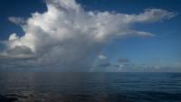 A new ocean pattern could reshape El Niño’s impact on Florida weather