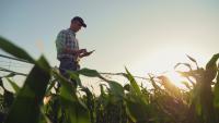 📈 Interactive Data Briefing: Agricultural Import Values Outpace Export Values