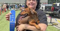Skinny Lenny wins the Indiana State Fair's latest doxie derby