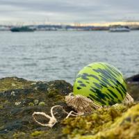 West Seattle Art Walk, Words, Writers, Southwest Stories, much more for your Thursday!