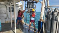 Scientists find smaller ‘dead zone’ in the Gulf than initially expected this summer