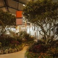 Hopefield Fynbos Show Celebrates 37 Years of Flora, Community, and Tradition
