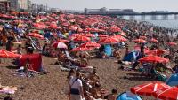 Western Europe heatwaves and El Niño drive hottest July seas on record