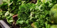 Farm linked to ‘diarrhea lettuce’ cyclosporiasis outbreak hadn’t been inspected in 7 years, report says