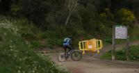 Catalonia confirms four new cases of ASF in the high-risk area
