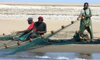 Protecting Namibia’s Thriving Blue Economy