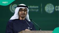 UAE announces 9 categories of foreigners who can obtain residence permit without getting a job