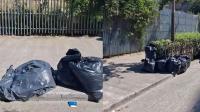 Horse poo plagues streets of Dublin 8 for year-and-a-half with no end in sight