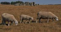 UK records hottest day of the year as Europe swelters