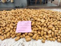 Customs Seizes Cannabis Sativa Worth N2bn In Ogun