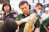 World Associated Press Authorities in Vietnam discover more than a ton of concealed ivory illegally shipped from Africa