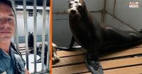 Sea Lions involved I-70 crash, Missouri State Fair show canceled